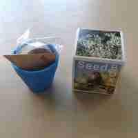 Seed Box