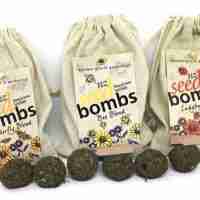 Seed Bombs