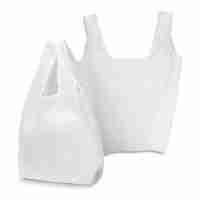 Checkout Shopping Bag