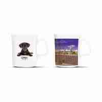 Chroma Bone China Coffee Mug