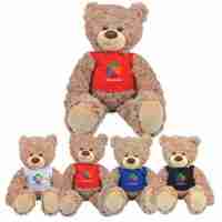 Bailey Plush Teddy Bear